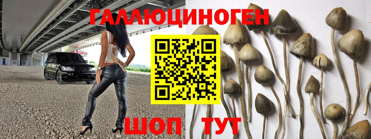 Амфетамин Кандалакша
