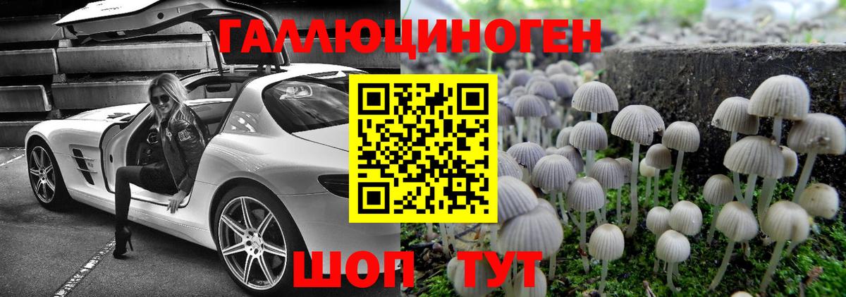 Псилоцибиновые грибы прущие грибы  Вход с VPN  Кандалакша 