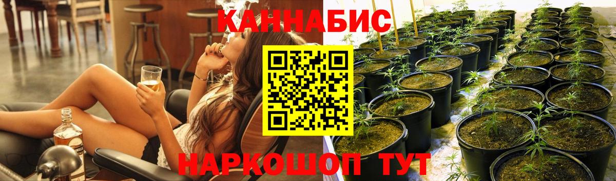Конопля планчик Кандалакша
